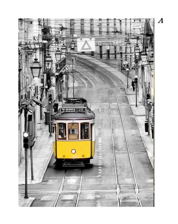 European Landscape Architectural City Canvas Prints