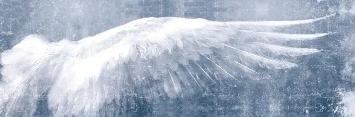 Angel Wings Large Wall Art Canvas Prints