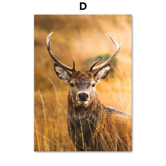 Autumn Forest Deer Pumpkin Leaves Road Large Wall Art