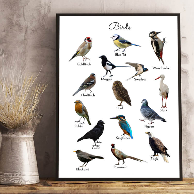 Birds Study Minimalist Canvas Print