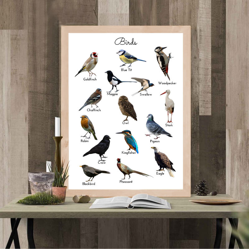 Birds Study Minimalist Canvas Print