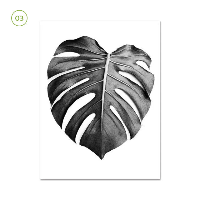 Black White Minimalist Botanic Canvas Prints