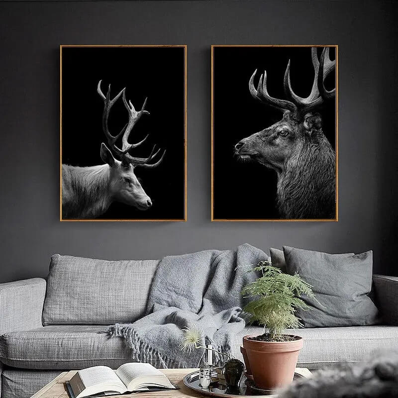 Black and White Animals Photo Canvas Prints
