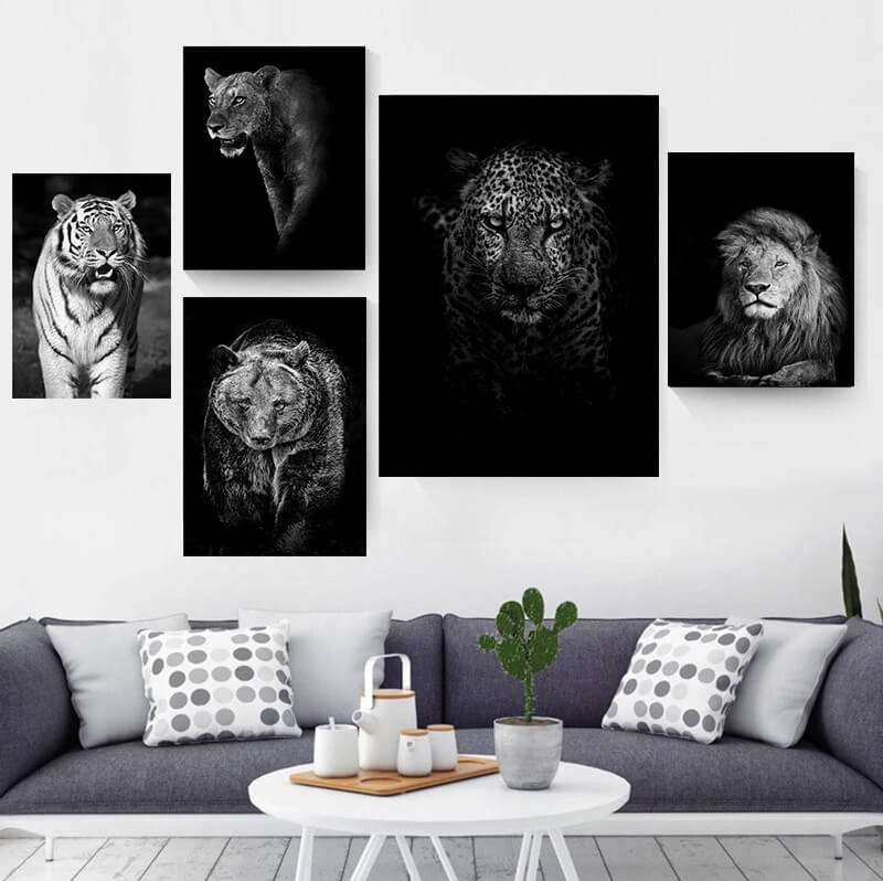 Black and White Animals Photo Canvas Prints
