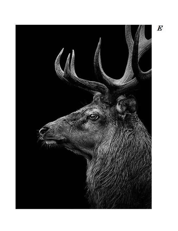 Black and White Animals Photo Canvas Prints