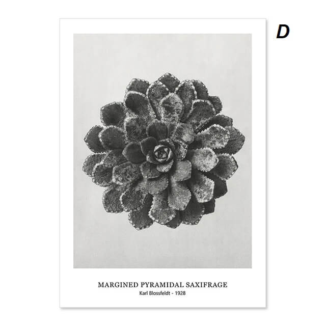 Botanical Black White Vintage Flowers Canvas Wall Art