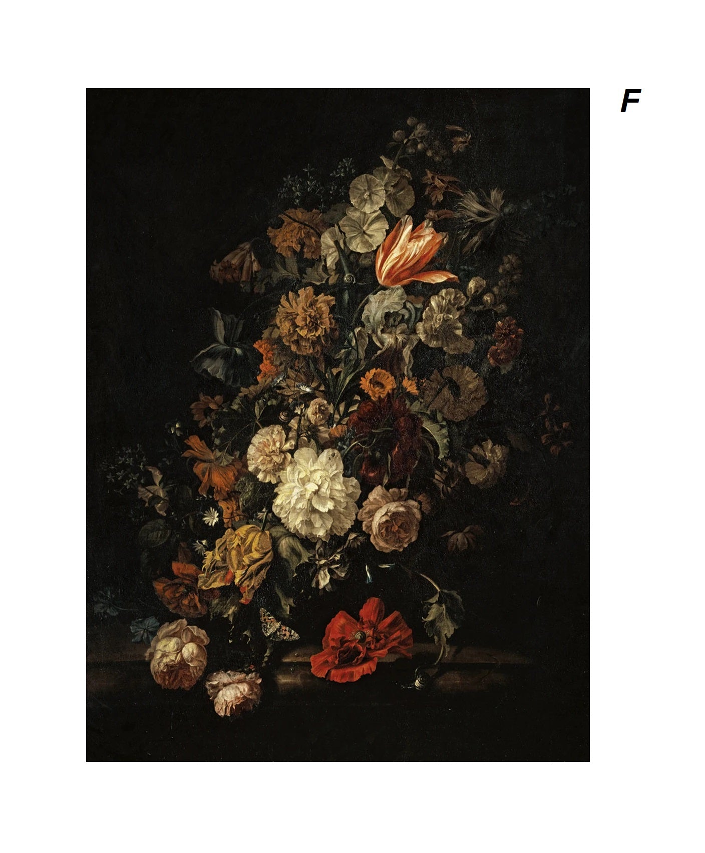 Dark Academia Canvas Prints Vintage Black Background Floral Wall Art