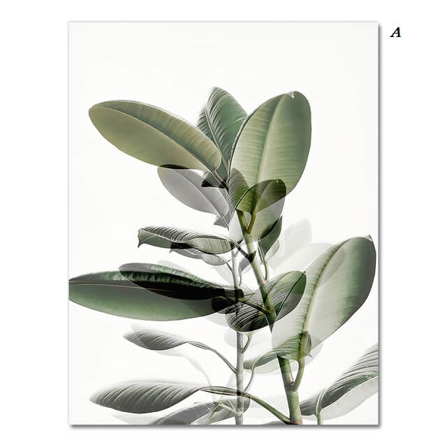 Green Plants Eucalyptus Leaves Canvas Prints