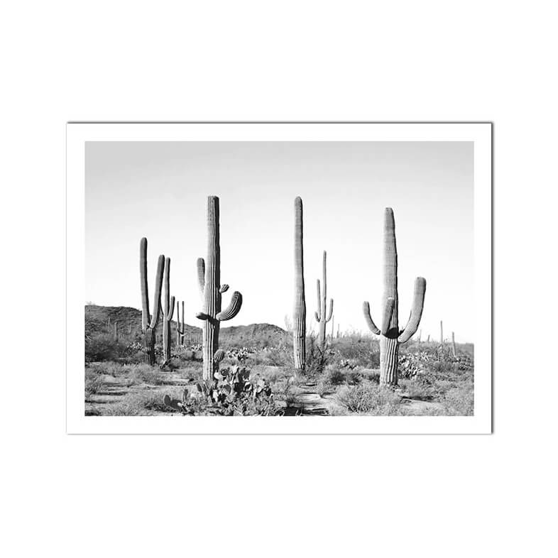 Scottish Highland Cattle Cactus Canvas Prints