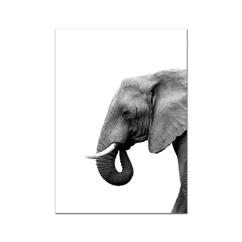 Black and White Animals Canvas Prints