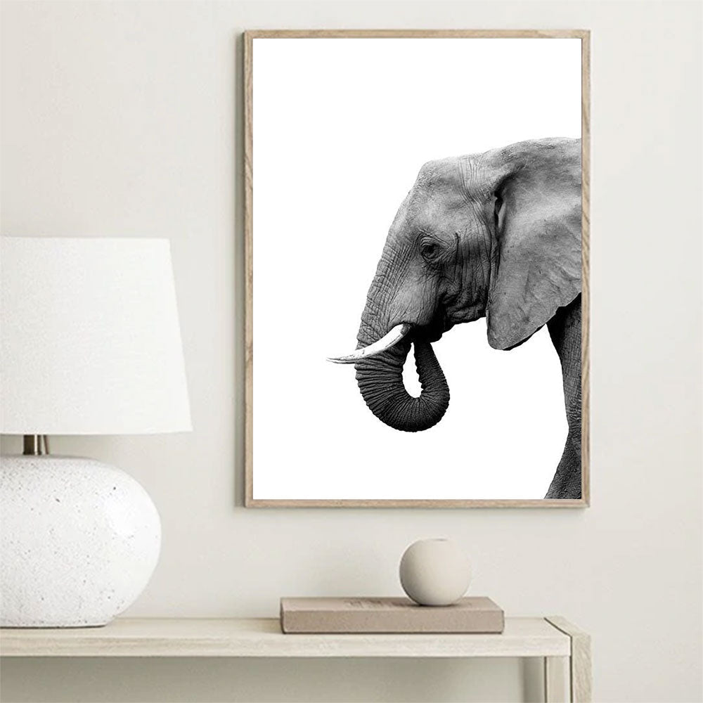 Black and White Animals Canvas Prints