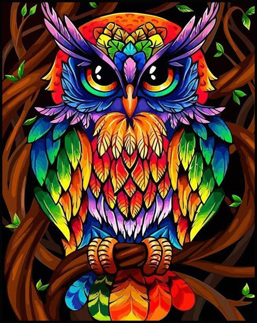 DIY Paint By Numbers - Colorful Owl Painting Canvas