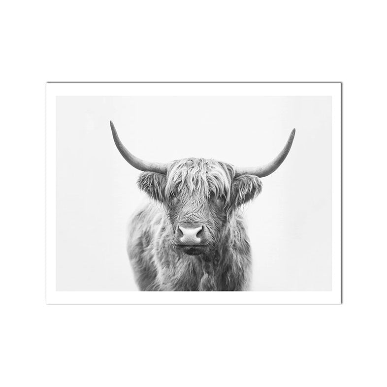 Scottish Highland Cattle Cactus Canvas Prints