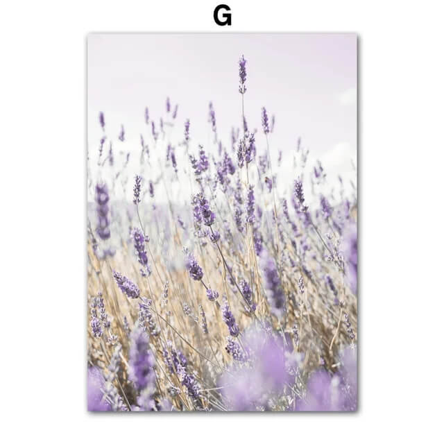 Dreamy Purple Lavender Landscape Hot Air Balloon Canvas Prints