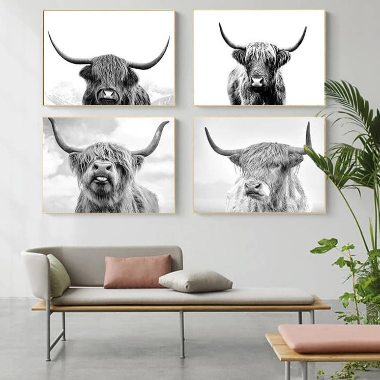 Highland Cattles Black and White Canvas Prints
