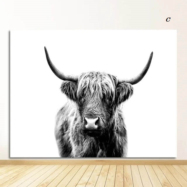 Highland Cattles Black and White Canvas Prints