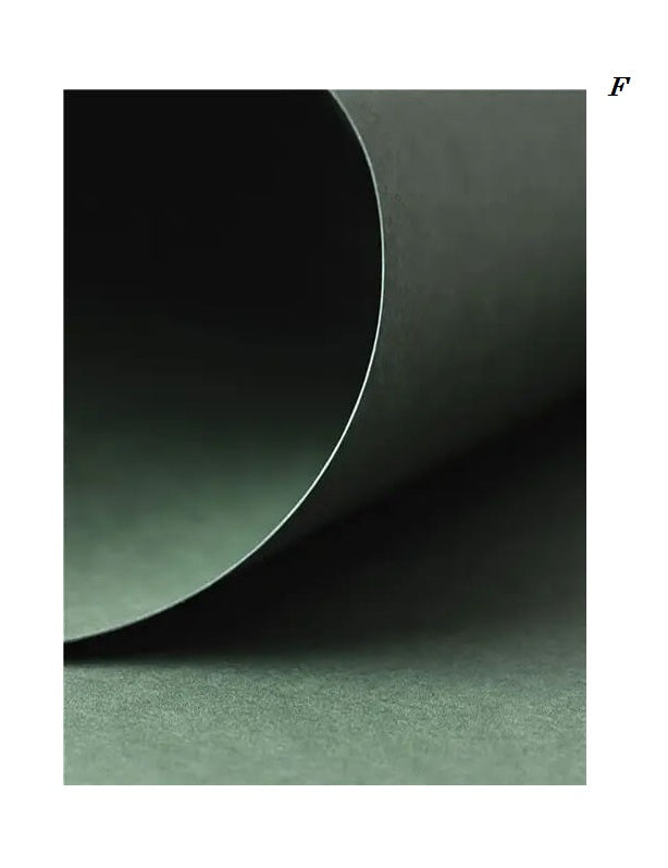 Minimalist Green Tropical Plant Canvas Prints
