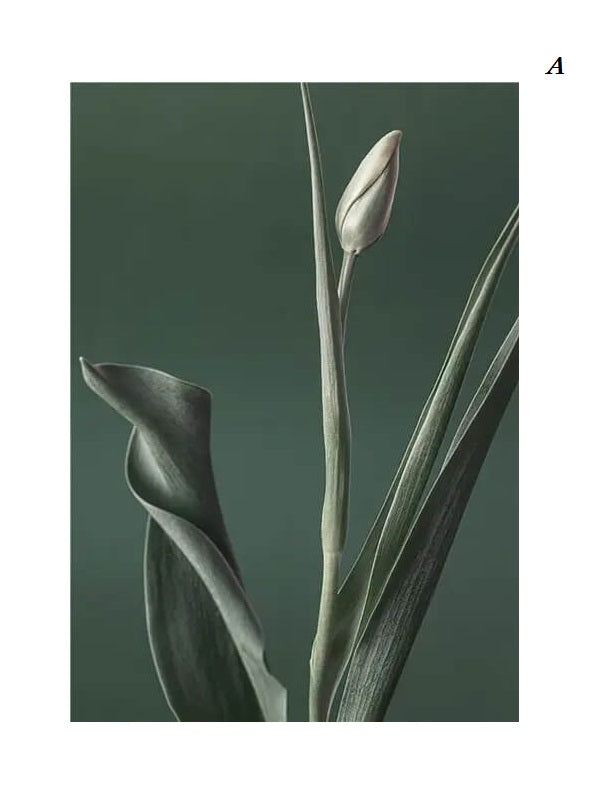 Minimalist Green Tropical Plant Canvas Prints