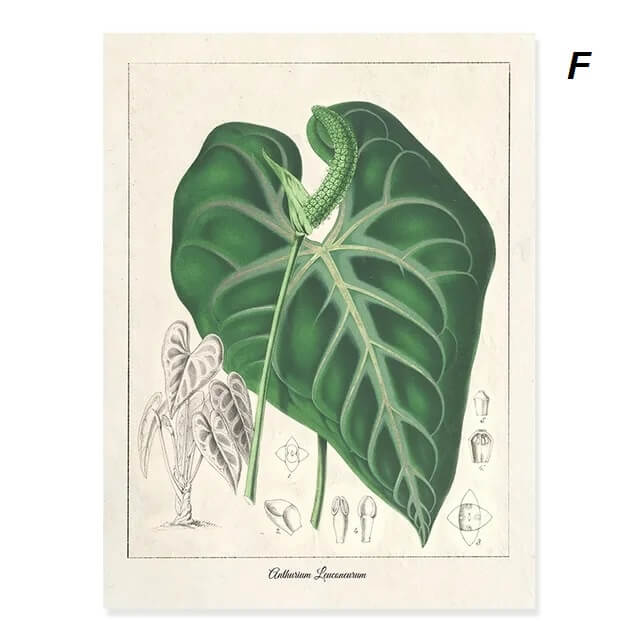 Modern Tropical Nordic Plants Leaves Wall Art