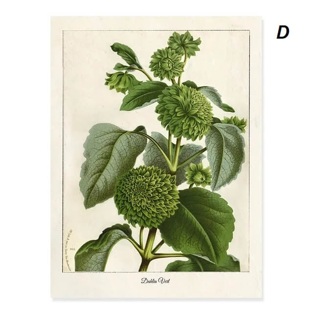 Modern Tropical Nordic Plants Leaves Wall Art