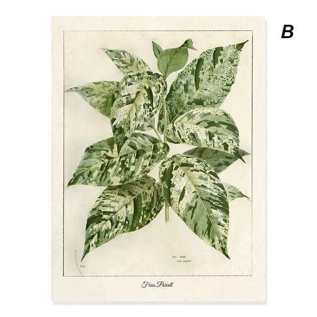 Modern Tropical Nordic Plants Leaves Wall Art