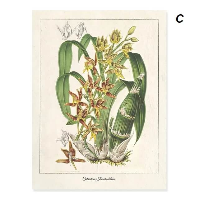 Modern Tropical Nordic Plants Leaves Wall Art