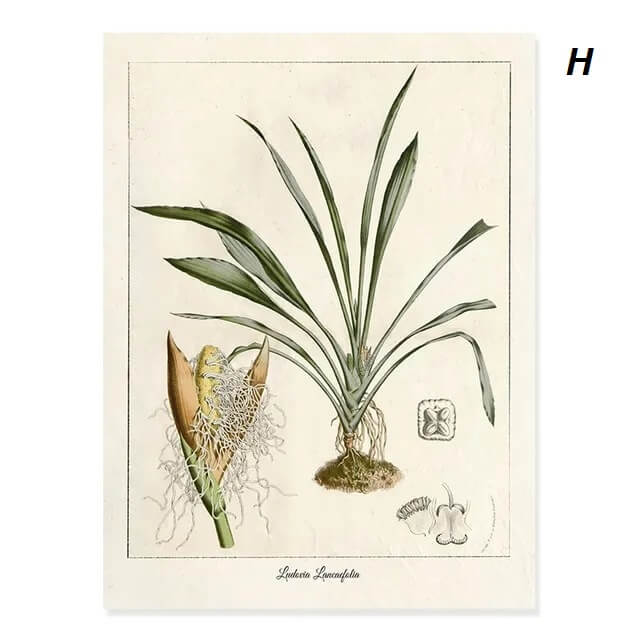 Modern Tropical Nordic Plants Leaves Wall Art