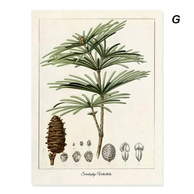 Modern Tropical Nordic Plants Leaves Wall Art