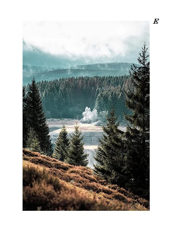 Nature Landscape Mountain Lake Wall Art
