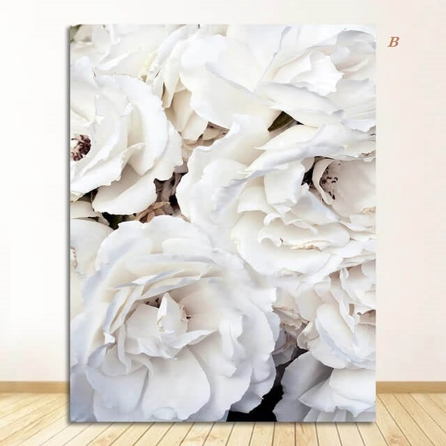 Peony Roses White Flowers Canvas Prints