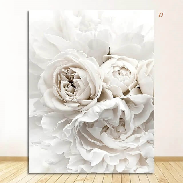 Peony Roses White Flowers Canvas Prints