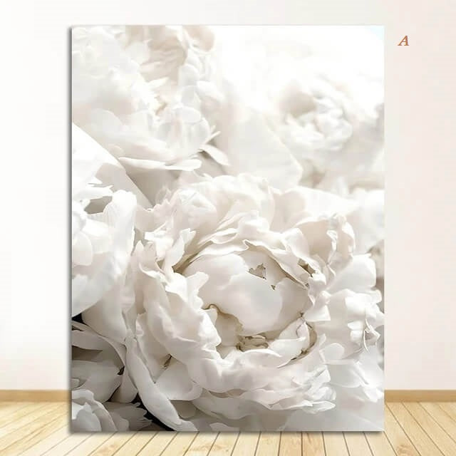 Peony Roses White Flowers Canvas Prints