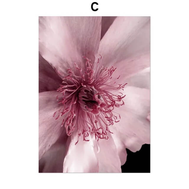 Pink Peony Rose Leaves Canvas Prints