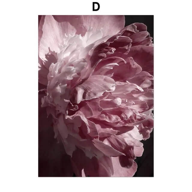 Pink Peony Rose Leaves Canvas Prints