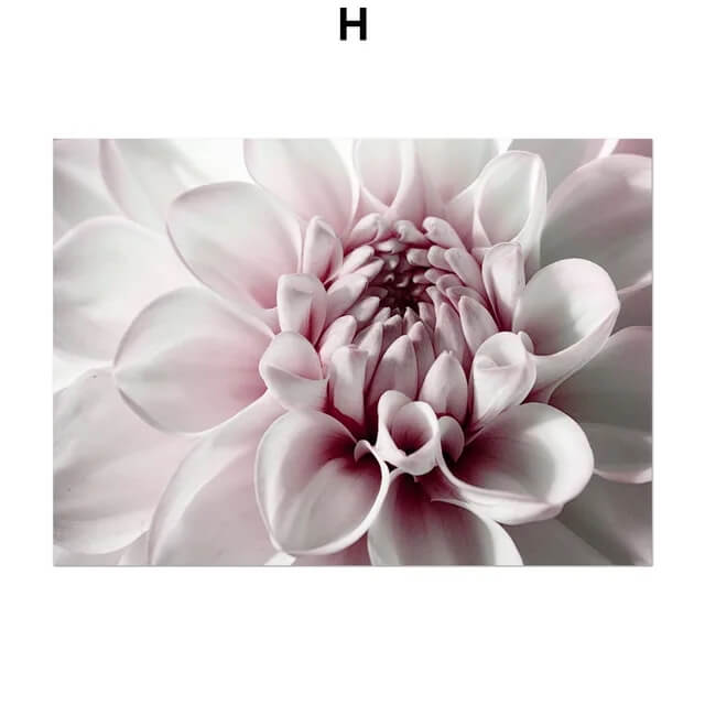 Pink Peony Rose Leaves Canvas Prints