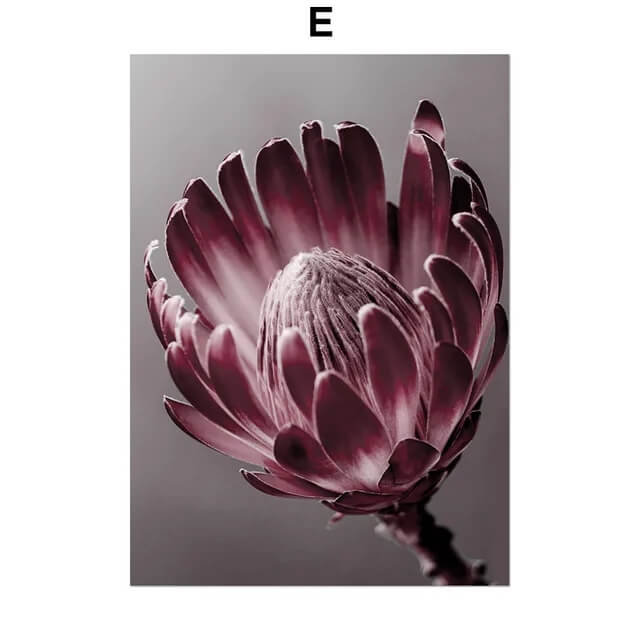 Pink Peony Rose Leaves Canvas Prints