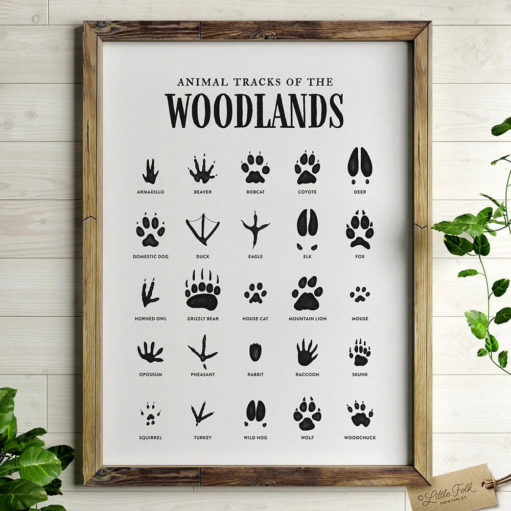Woodland Animals Tracks Print Minimalist Poster Wall Art