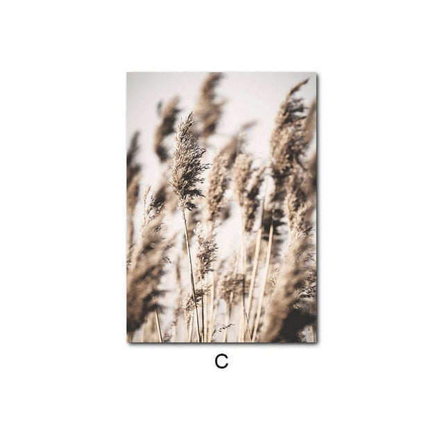 Beach Sunset Natural Landscapes Wall Art
