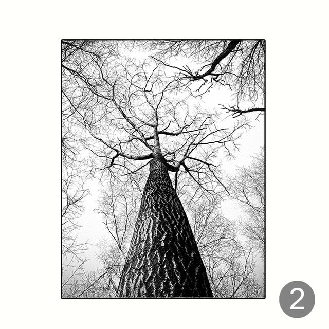 Black And White Scandinavian Winter Woodland Deer Canvas Prints