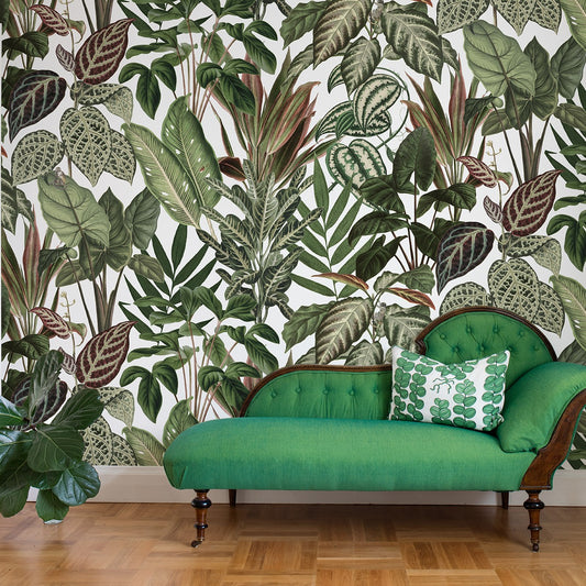 Jungle by Day, Monkeys Mural Wallpaper (SqM)