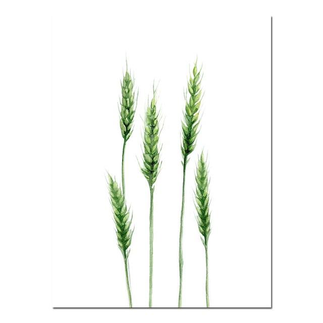 Triticum Spelta Minimalist Canvas Print