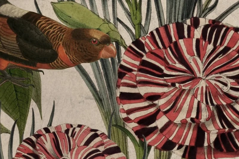 Jungle Lush Vigor Coral Mural Wallpaper (SqM)