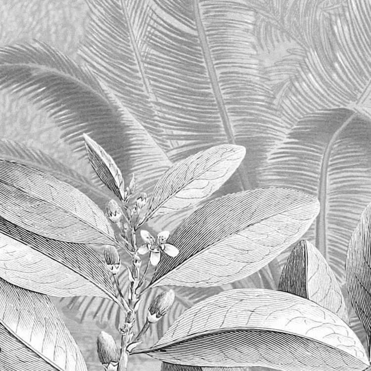 Caribbean Rainforest Black and White Mural Wallpaper (SqM)