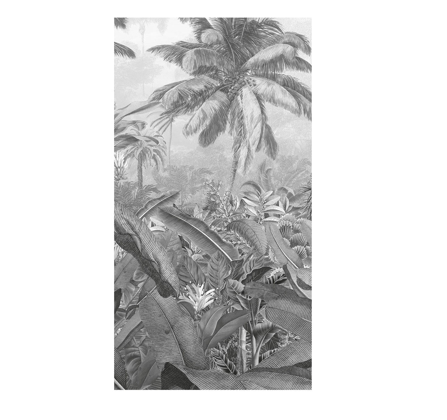 Caribbean Rainforest Black and White Mural Wallpaper (SqM)