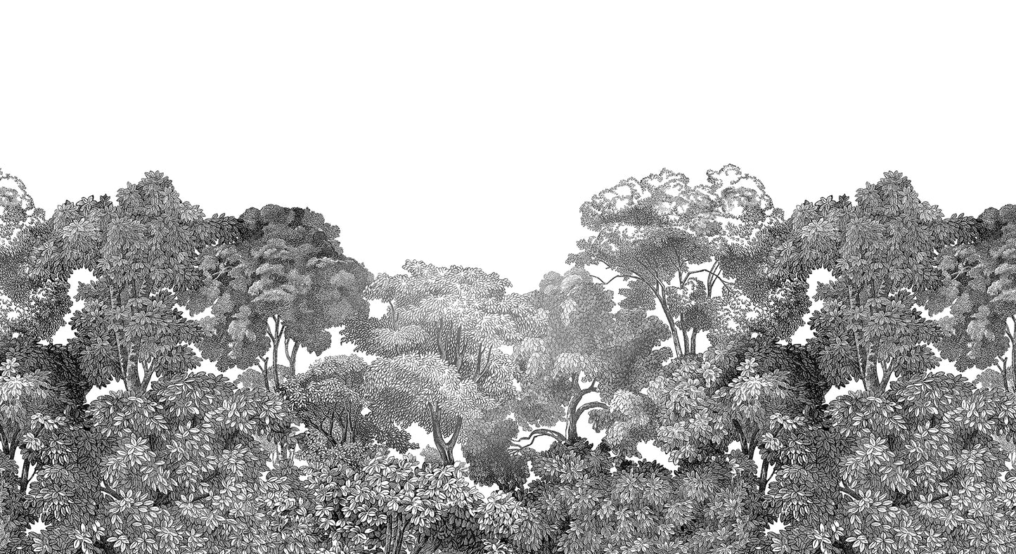 Jass London Black and White Minimalist Forest Wall Mural Wallpaper