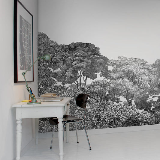 Jass London Black & White Minimalist Mural Wallpaper