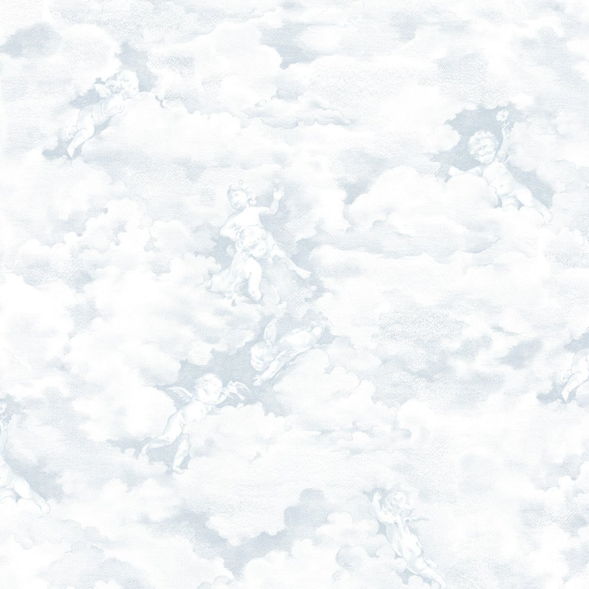 Chubby Cerubs Blue Mural Wallpaper (SqM)