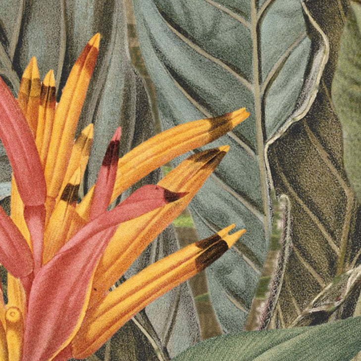 Caribbean Rainforest Mural Wallpaper (SqM)