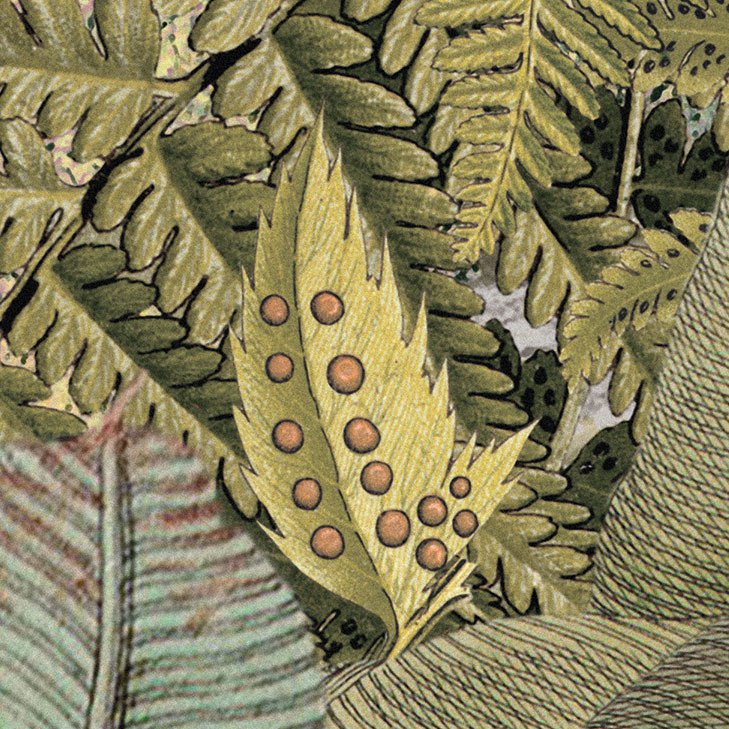Caribbean Rainforest Mural Wallpaper (SqM)