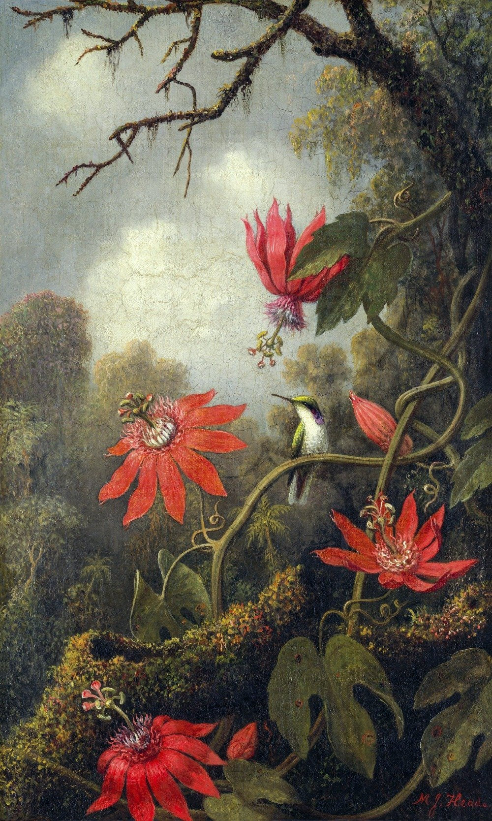 Hummingbird with Passionflowers Mural Wallpaper (SqM)